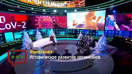 Док ток (22.12.2021)