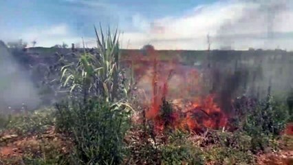 Incêndio ambiental incomoda moradores no Bairro Interlagos