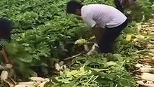 The latest inventions in unique amazing