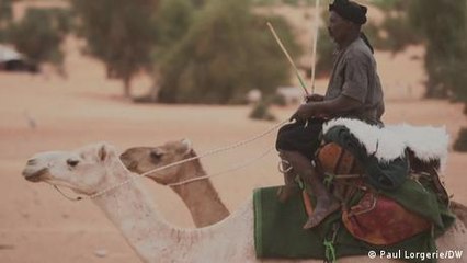 West Africa's new anti-terrorism force: The camel corps