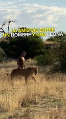 ¿Y si tu mejor amiga fuera una leona?