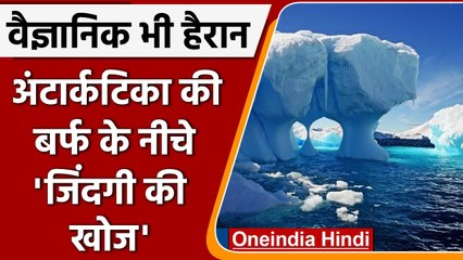 Antarctic Ice Sheet: अंटार्कटिका की बर्फ में मिलीं 77 नई प्रजातियां, जानिए कैसे ? | वनइंडिया हिंदी