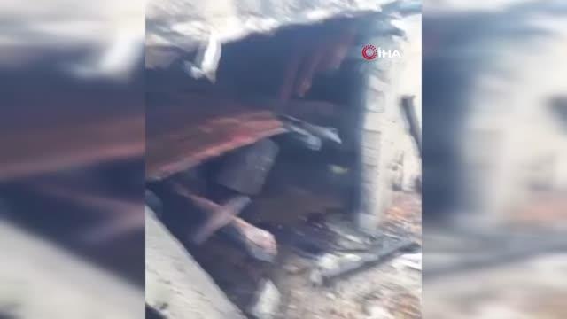 Siirt'te ahırda çıkan yangında 5 hayvan telef oldu