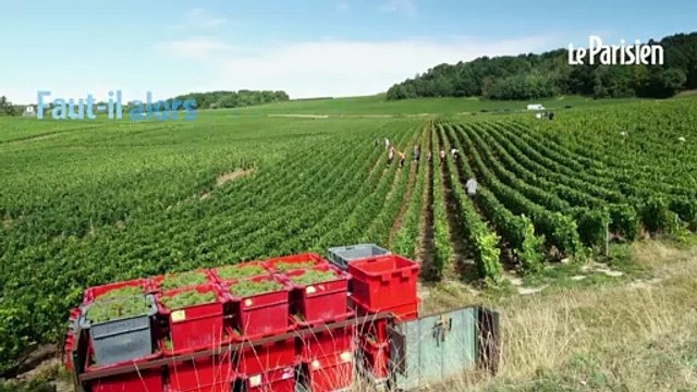 Les Français se sont arrachées les bouteilles de champagne en 2021