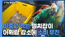 어획량 감소에 소비 부진...이중고 겪는 멸치잡이 / YTN