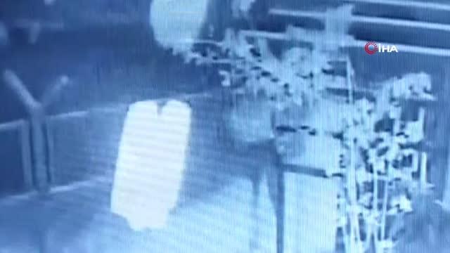 Bahçedeki Kangal köpeği hırsızlığı güvenlik kamerasında