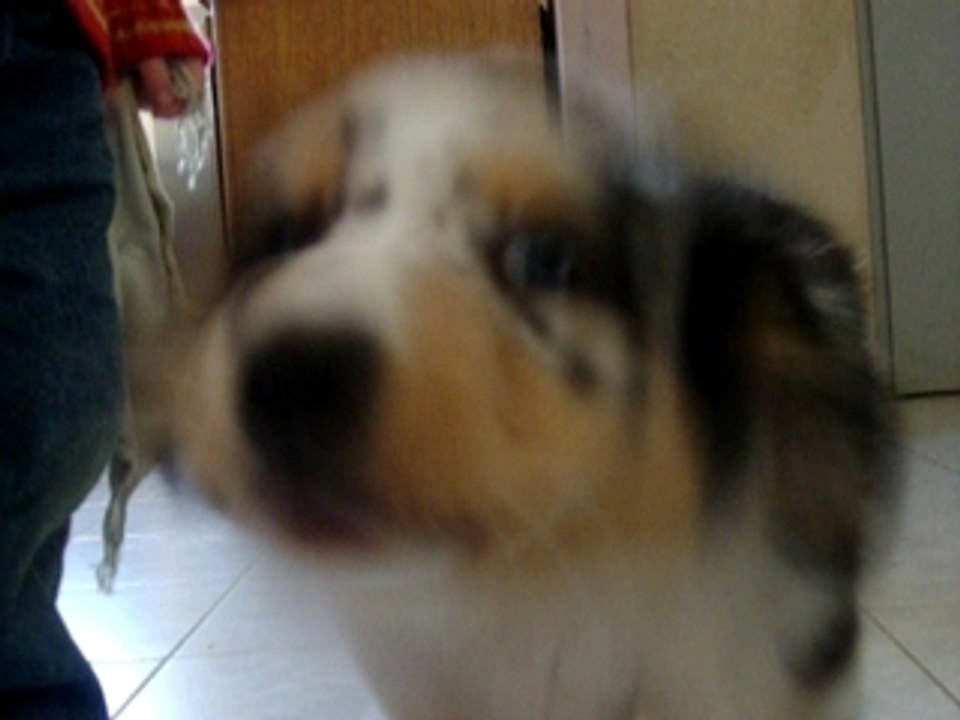 Vidéo coeurly 2 mois et 2 semaines