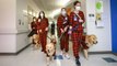 Therapy Dogs Treat Texas Children's Hospital Patients to Adorable Pajama Parade