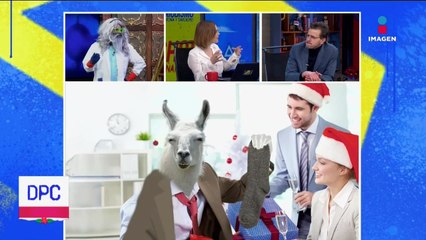 ¡Una llama se ganó unos calcetines! | Cientificonolo