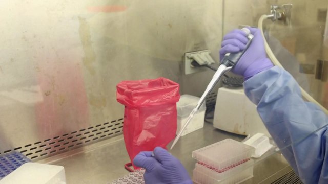 美, 먹는 '코로나 치료제' 첫 승인...프랑스·독일, 오미크론 우세종 전망 / YTN