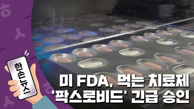 [15초뉴스] 미국 FDA, 화이자 ’먹는 치료제’ 팍스로비드 사용 승인 / YTN