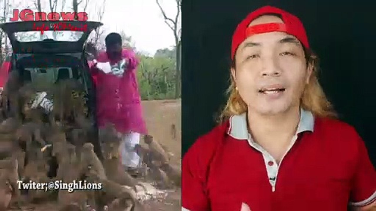 Viralkan Pria Dermawan Memberi Makan Kera Dengan Pisang Semobil