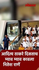 आदित्य ठाकरे दिसताच  म्याव म्याव काढला  नितेश राणेंनी आवाज