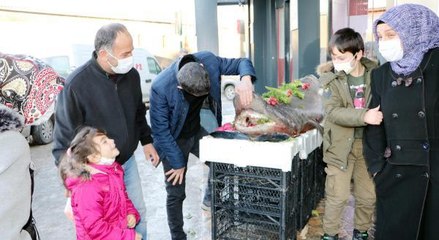 KARADENİZ'DE YAKALANAN KÖPEK BALIĞI ERZURUM'DA SERGİLENDİ