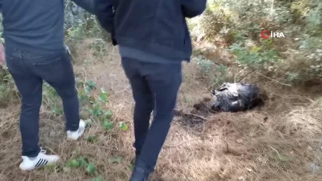 Ormanlık alandaki temizlikte koltuk, televizyon çerçevesi ve poşet içerisinde hayvan parçaları çıktı