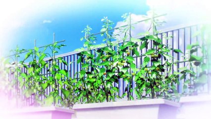 One Room Saison 3 - Trailer (EN)