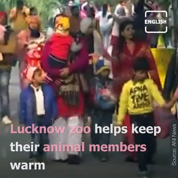 Lucknow Zoo Installs Heaters To Keep Animals Safe From The Cold Weather