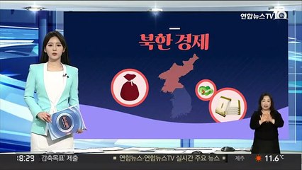 [그래픽뉴스] 북한 경제