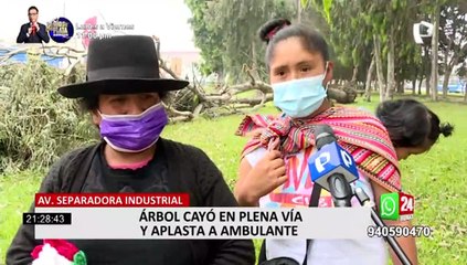 Ate: comerciante se salva de morir tras caída de árbol en plena vía pública