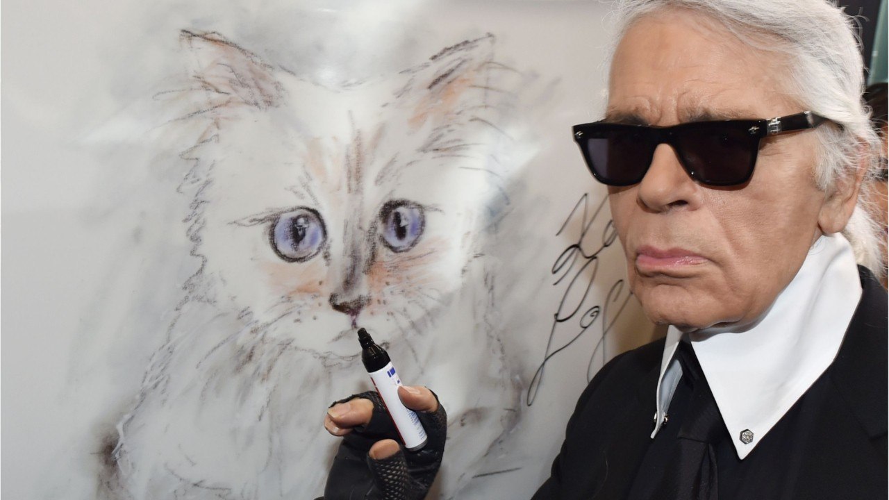 FEMME ACTUELLE - Agent, nutritionniste, gouvernante... La nouvelle vie de Choupette, la chatte de Karl Lagerfeld
