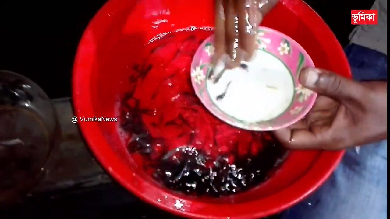 pabda fish farming in bangladesh |-pabda fish farming in west bengal _|Vumika agro |  Vumika TV