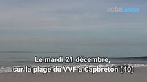 Insolite : Capbreton. Un dauphin nage à quelques mètres de la rive