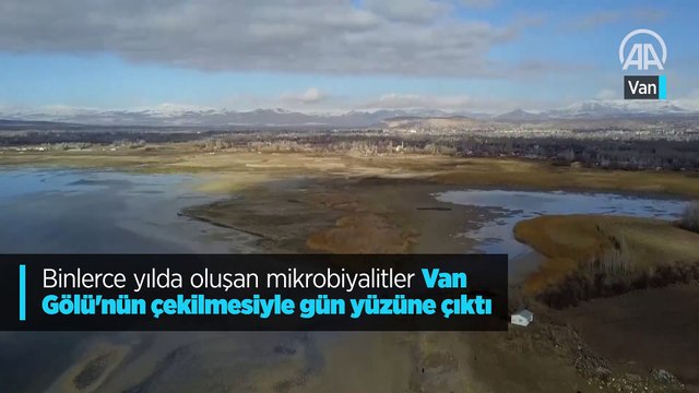 Binlerce yılda oluşan mikrobiyalitler Van Gölü'nün çekilmesiyle gün yüzüne çıktı