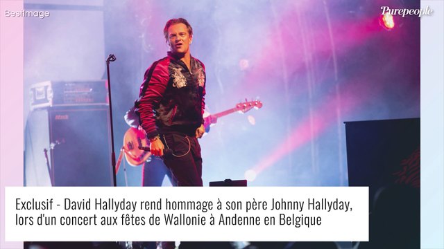 Quelle triste fin d'année !!! : David Hallyday, en deuil, pleure la mort de Robin Le Mesurier