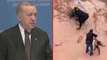 Türkiye'yi ayağa kaldıran görüntülere Cumhurbaşkanı Erdoğan da kayıtsız kalamadı: Sahipsiz hayvanların yeri barınaktır