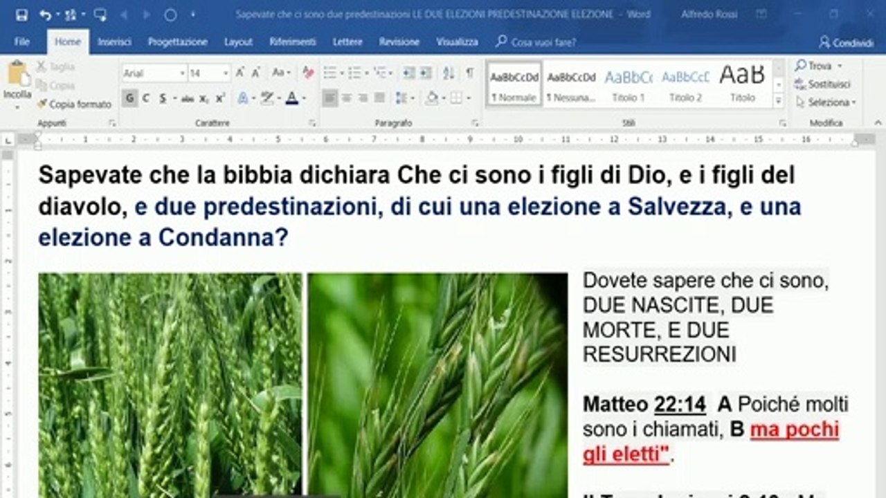 Sapevate che la Bibbia parla di due predestinazioni, e dei figli di Dio e dei figli del Diavolo?