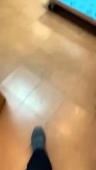 Playful Paralyzed Cat Running Around Vet Clinic Passing by Curious Dog