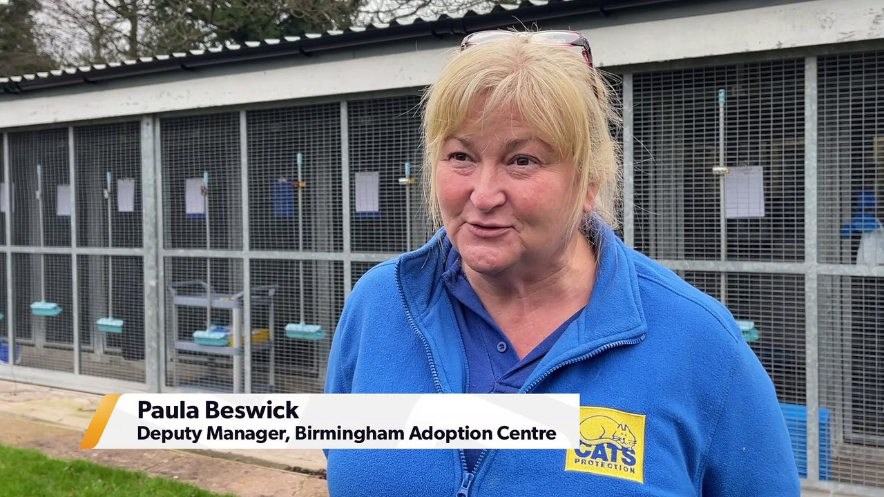 Cat Protection Centre 23/12/21
