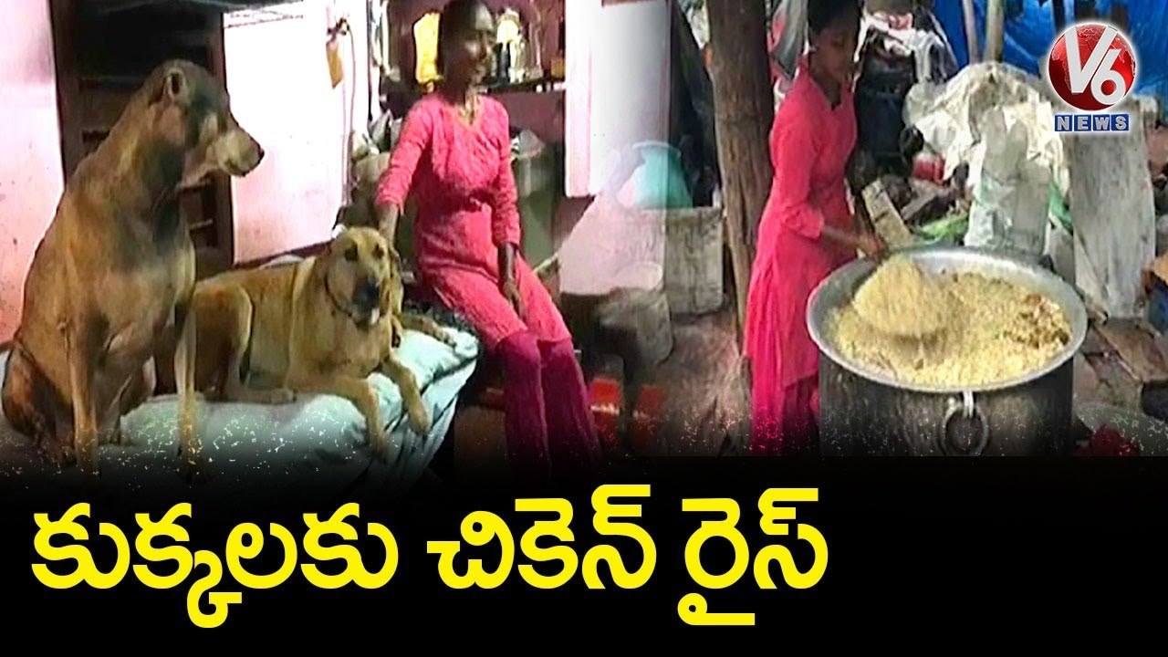Rajani Shetty Feeds Chicken Rice To Hundreds Of Stray Dogs Daily _ Mangaluru _ V6 News