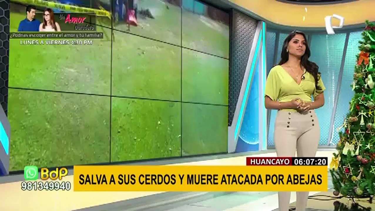 Huancayo: mujer muere tras ser atacada por cientos de abejas