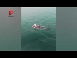 لحظة وصول البطل المصري عمر حجازي "طابا"