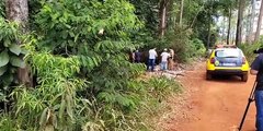 Urgente: corpo carbonizado é encontrado em Apucaranan