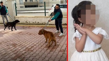 4 yaşındaki çocuğa pitbull saldırısı olayında 3 şüpheli tutuklandı