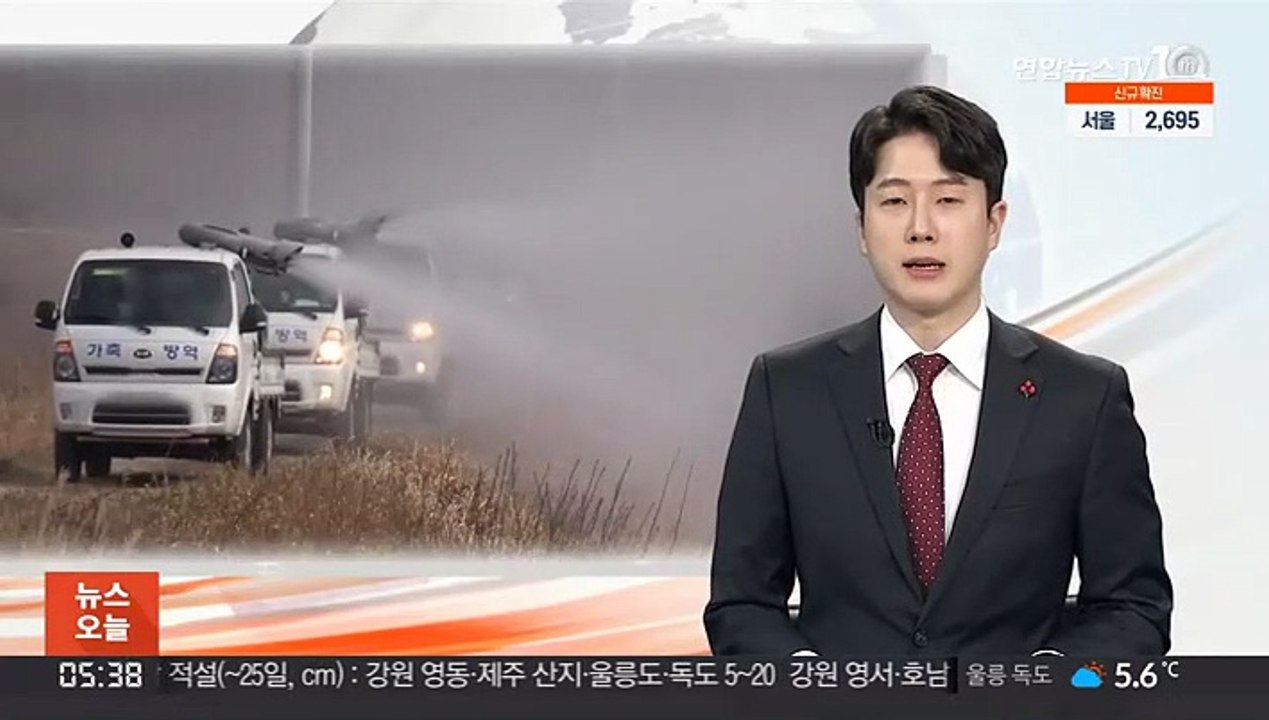 세종 산란계 농장서 고병원성 AI 의심사례 확인
