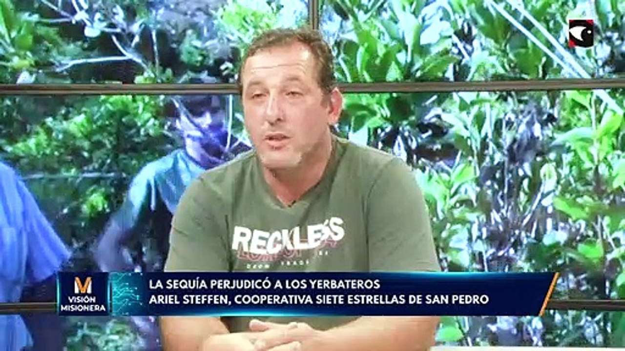 La sequía perjudicó a los yerbateros