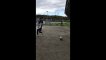 Soccer Coach Scores Goal From Outside Stadium and Wins Bet