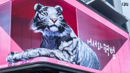 코엑스 미디어아트 '흑호' 1분 30초 full(COEX Media Art Black Tiger) / 디따