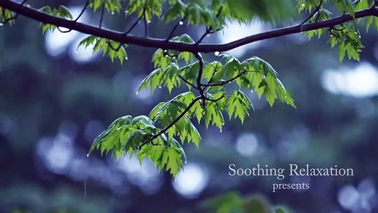 The pleasure of hearing the most beautiful music with the beauty of nature for relaxation and deep meditation