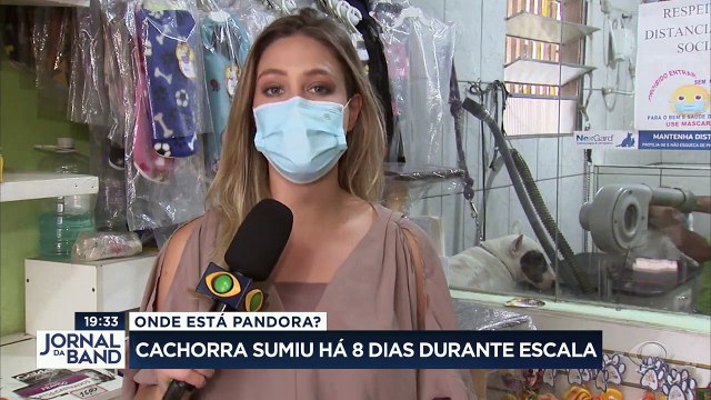 O caso do sumiço de uma cadelinha num voo foi parar no Procon, que notificou a empresa Gol a dar explicações.
