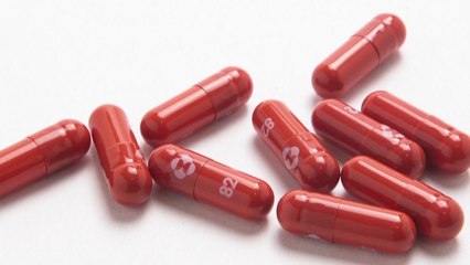 美 FDA, 머크 치료제도 승인...부작용도 경고 / YTN