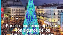 Los 5 árboles de Navidad más famosos del mundo