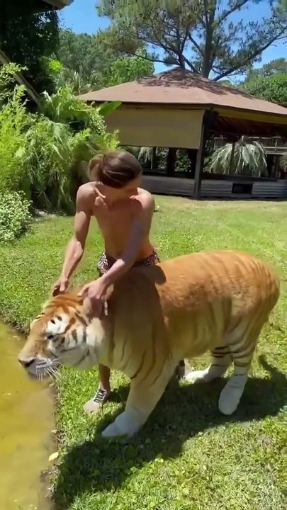 Best Funny Animal Videos of the year (2021), funniest animals ever. relax with cute animals.AWW anim - YouTube
