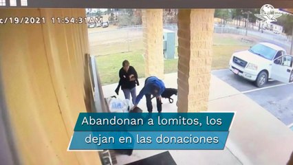 Pareja abandona a perrita y sus cachorros, acción queda grabada en video