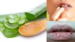 Lips पर Aloe Vera Gel लगाने से क्या होता है, Homemade Lip Balm बनाने का Easy तरीका | Boldsky