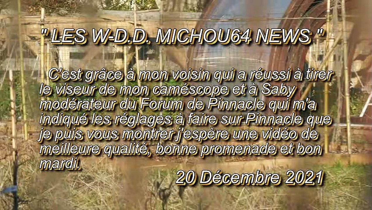 LES W-D.D. MICHOU64 NEWS - 20 DÉCEMBRE 2021 - PAU - CE LUNDI APRÈS MIDI UN PETIT TOUR DANS LE QUARTIER TRESPOEY