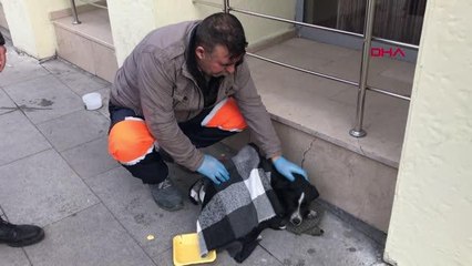 Sokak köpeğine simitçi şefkati; üşümesin diye kazağını örttü